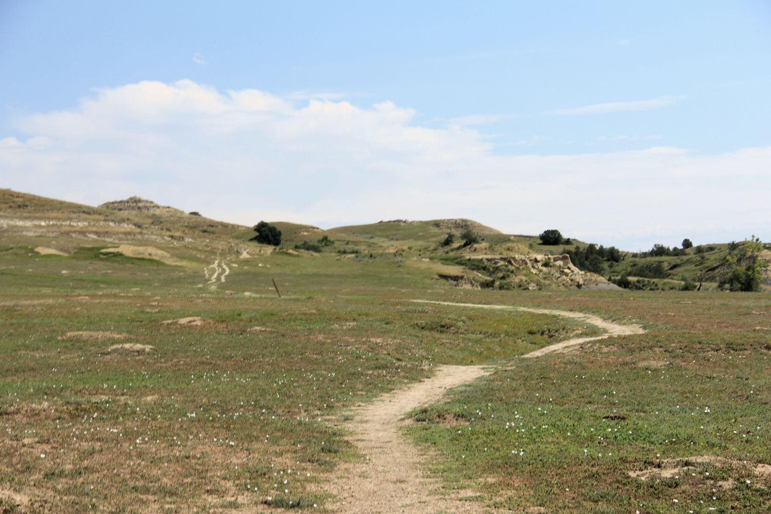 South Unit Scenic Highway and Hikes 